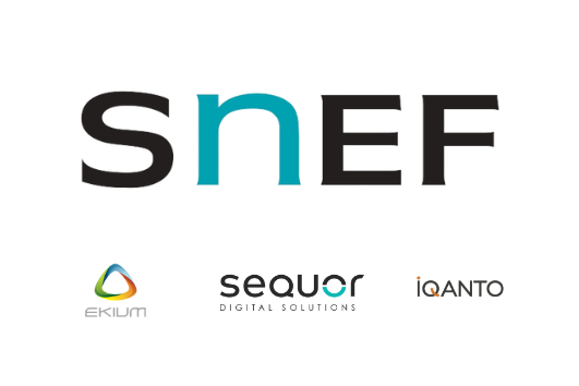 Logo SNEF